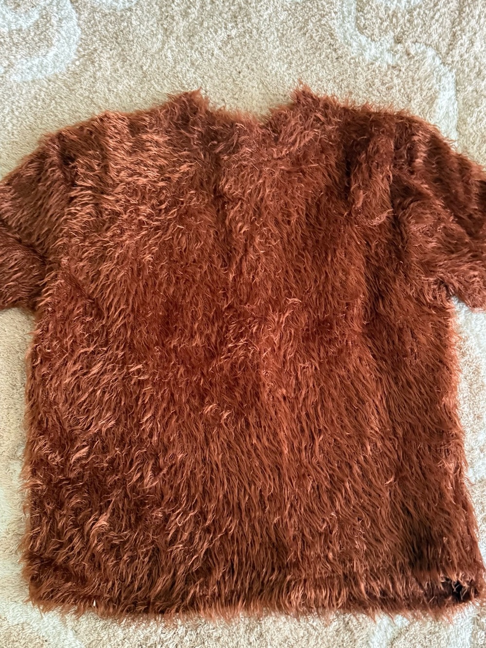 Fuzzy Short-Sleeve Shaggy Sweater - Rust Brown